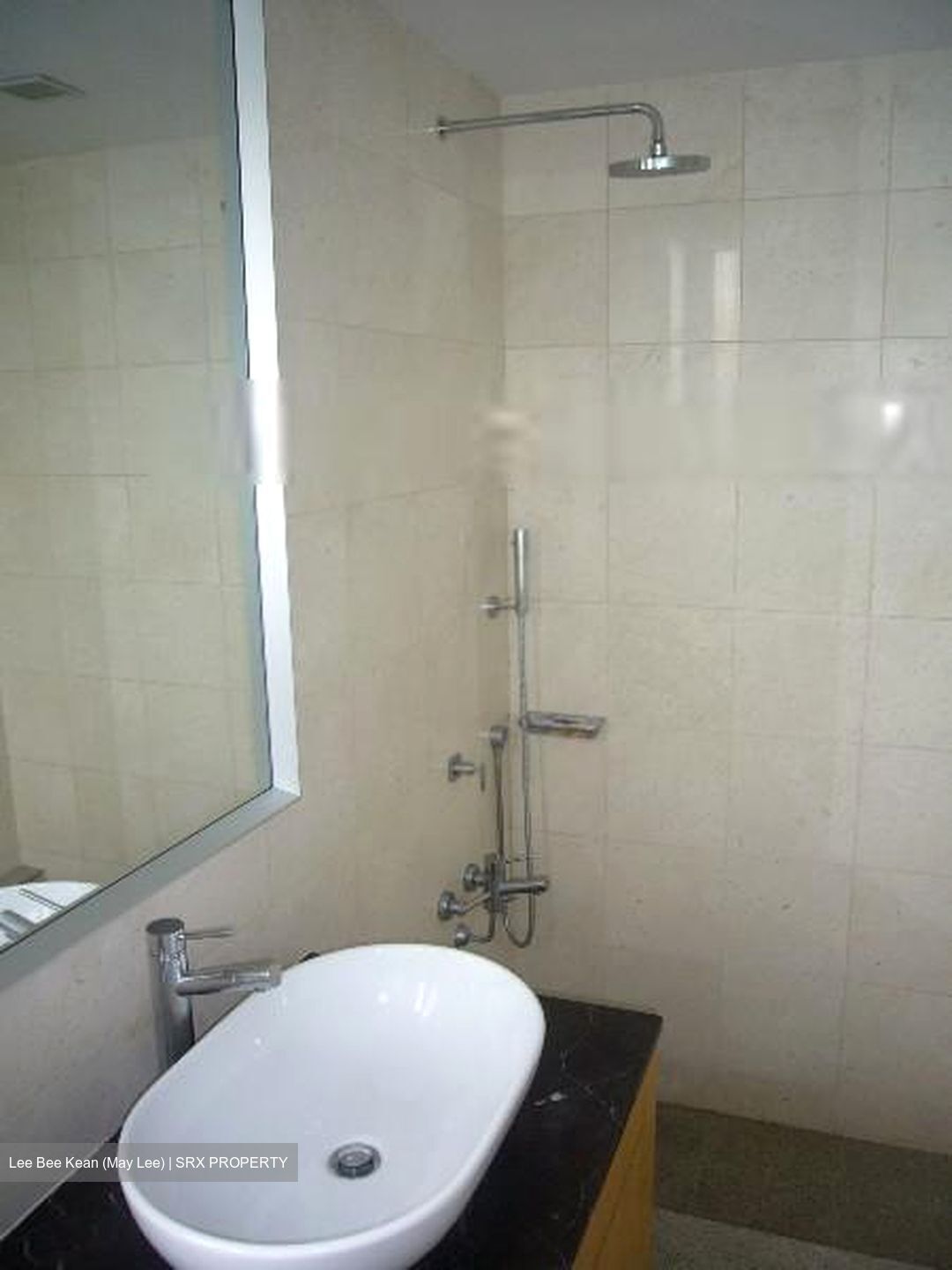 The Lakeshore (D22), Condominium #489115781